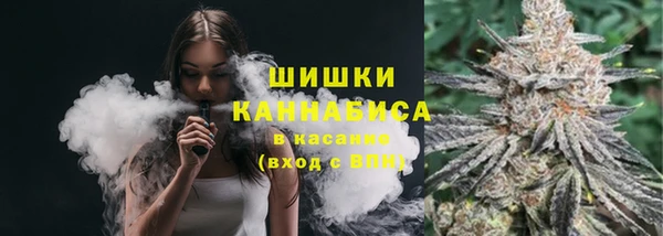 эйфоретик Карпинск