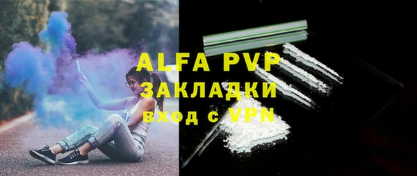 эйфоретик Карпинск