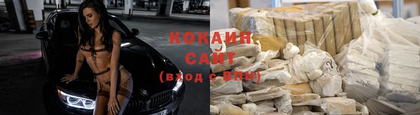 эйфоретик Карпинск