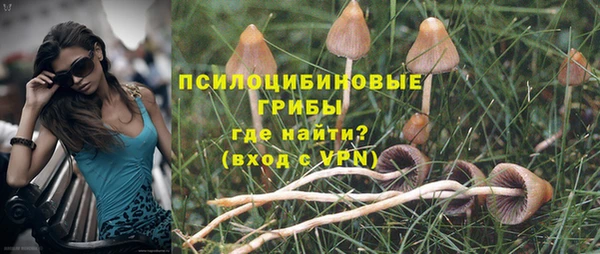 эйфоретик Карпинск