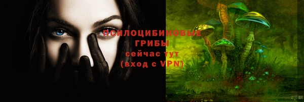 дживик Саяногорск