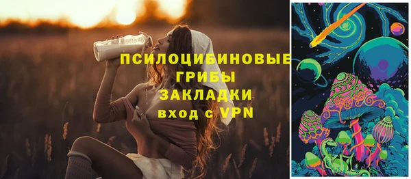 эйфоретик Карпинск