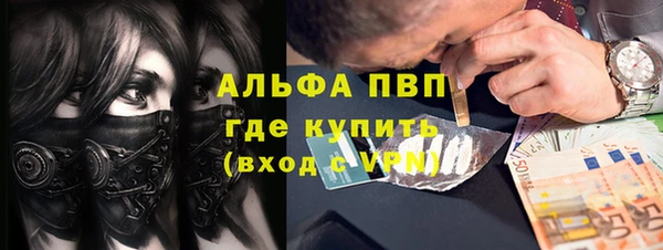 сатива Киренск