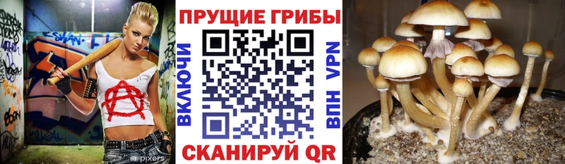 Галлюциногенные грибы мухоморы  Чухлома 